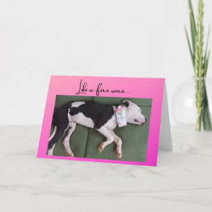 Funny Birthday dog with wine box Card