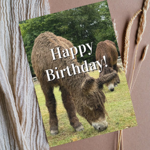 Funny Birthday Donkey Farm Animal Cute Barnyard  Card