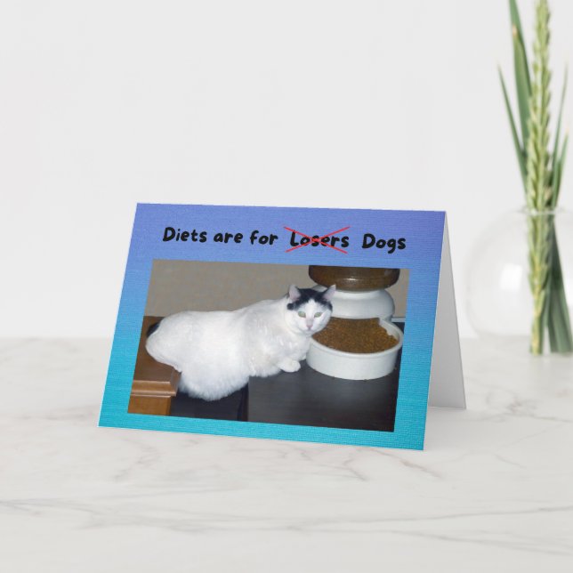 Funny Birthday Fat Cat says Diets are for Dogs Card (Front)