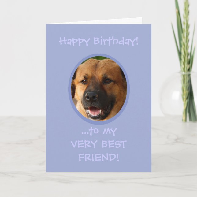 Funny Birthday From Dog To Owner Custom Photo Card (Front)