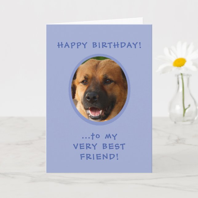 Funny Birthday From Dog To Owner Photo Card (Small Plant)