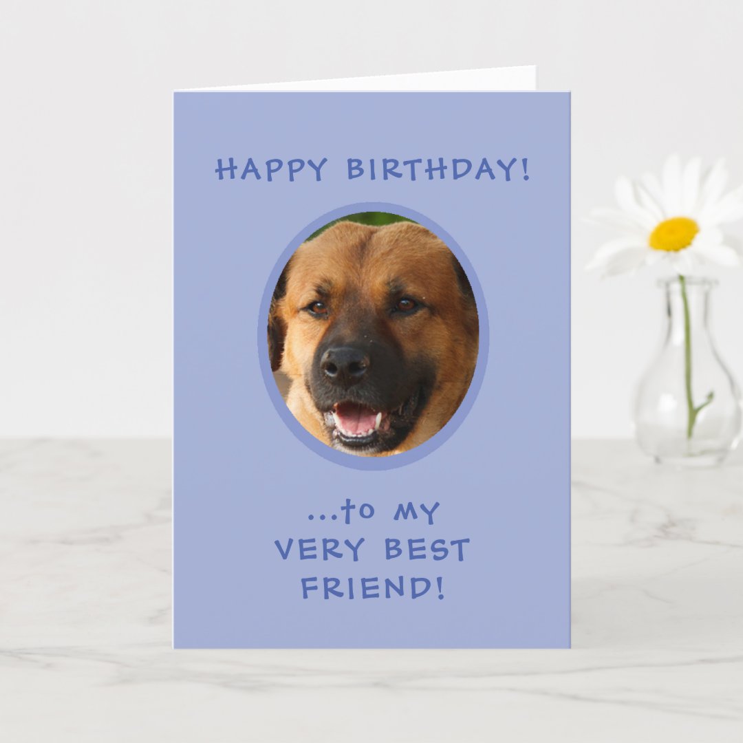 Funny Birthday From Dog To Owner Photo Card | Zazzle