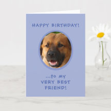 LET'S PLAY - DS-C-HB-1613-985 Dog Studio Birthday Card Mixed Breed 