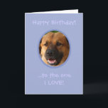 Funny Birthday From Dog To Owner with Love Card<br><div class="desc">Surprise a dog lover with a custom funny birthday card from the one who loves him or her the most... .his or her dog,  aka,  his/her SNIFF-icant OTHER! Add a photo of fido to make this cute card complete.</div>