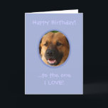Funny Birthday From Dog To Owner with Love Card<br><div class="desc">Surprise a dog lover with a custom funny birthday card from the one who loves him or her the most... .his or her dog,  aka,  his/her SNIFF-icant OTHER! Add a photo of fido to make this cute card complete.</div>