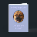 Funny Birthday From Dog To Owner with Love Card<br><div class="desc">Surprise a dog lover with a custom funny birthday card from the one who loves him or her the most... .his or her dog,  aka,  his/her SNIFF-icant OTHER! Add a photo of fido to make this cute card complete.</div>