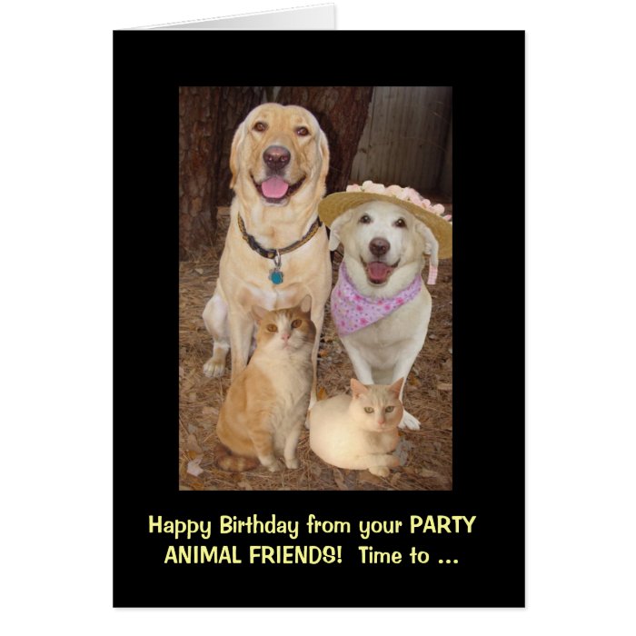 Funny Birthday Group Cards