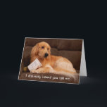 Funny Birthday Golden Retriever with Ice Cream Box Card<br><div class="desc">Jasper the golden retriever does not look guilty whatsoever for stealing the ice cream box - after all,  it's his birthday! Tell your special person they should treat themselves on their special day!</div>