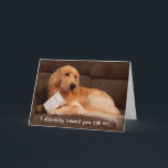 Funny Birthday Golden Retriever with Ice Cream Box Card<br><div class="desc">Jasper the golden retriever does not look guilty whatsoever for stealing the ice cream box - after all,  it's his birthday! Tell your special person they should treat themselves on their special day!</div>