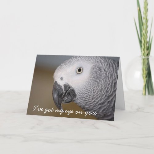 Funny Birthday Greeting Card