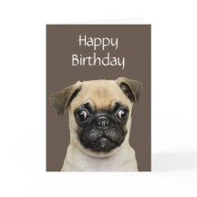 Funny, Birthday Happy Pug Dog Humor