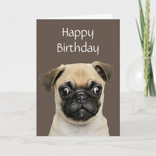 Funny, Birthday Happy Pug Dog Humor Card (Front)
