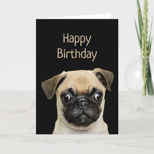 Funny Birthday Humor Pet Pug Dog Card