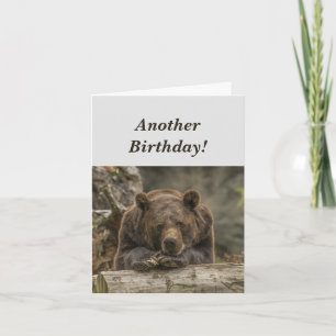 Funny Birthday it's Grizzly Bear Humor Card