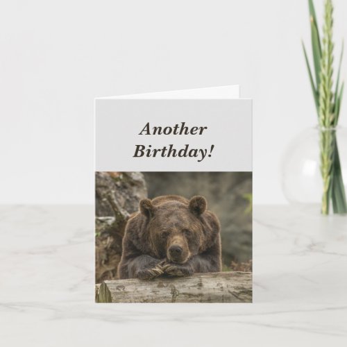 Funny Birthday its Grizzly Bear Humor Card