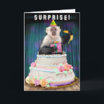 Funny Birthday Monkey Jumping Out of Cake Bananas Holiday Card<br><div class="desc">Surprise! This funny birthday card shows a smiling Capuchin monkey popping out of a cake. It has a party hat on its head and a present and a banana in its hands. The inside text (which can be personalized) says, "I hope your birthday is absolutely bananas." This card is designed...</div>