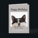 Funny Birthday Old Age Over the Hill, Cat Humor Card<br><div class="desc">Old age is when it takes longer to get over a good time than to have it.  Fun Cat Birthday Humor.</div>