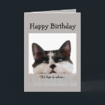 Funny Birthday Old Age Over the Hill, Cat Humor Card<br><div class="desc">Old age is when it takes longer to get over a good time than to have it.  Fun Cat Birthday Humor.</div>