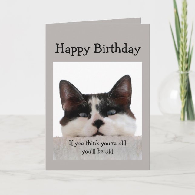 Funny Birthday Old Age Over the Hill, Cat Humor Card (Front)