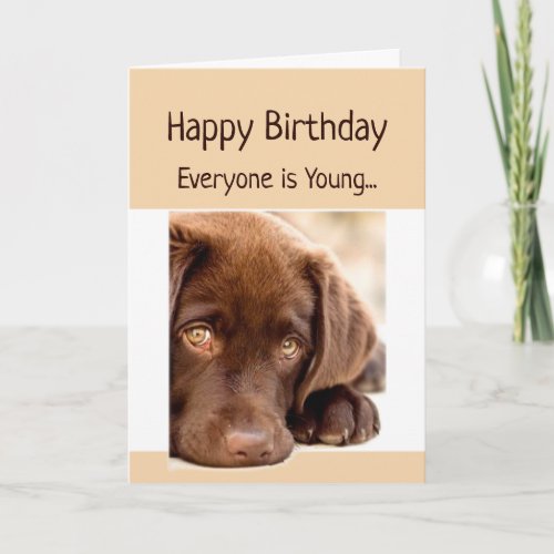 Funny Birthday Old Age Over the Hill Dog Card