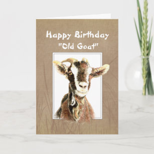 Happy Birthday You Old Goat Funny Goat in Clothes Birthday Card