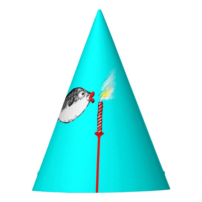 Funny Birthday Party Hat (Front)