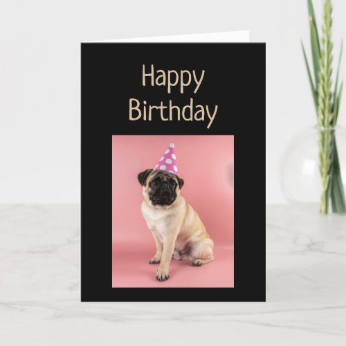Funny Birthday Pug Dog Old Age Humor  Card