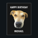 Funny Birthday Puppy Dog Face Personalized Postcard<br><div class="desc">Say Happy Birthday with this Funny Birthday Puppy Dog Face Personalized Postcard. It is designed with a big brown puppy dog face on the front. The background is customizable black and the greeting is "happy birthday" followed by name in bold white lettering. You can choose your very own pet photo...</div>