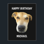Funny Birthday Puppy Dog Face Personalized Postcard<br><div class="desc">Say Happy Birthday with this Funny Birthday Puppy Dog Face Personalized Postcard. It is designed with a big brown puppy dog face on the front. The background is customizable black and the greeting is "happy birthday" followed by name in bold white lettering. You can choose your very own pet photo...</div>