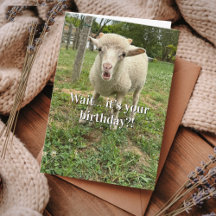 Funny Birthday Sheep Surprise face Farm Animal