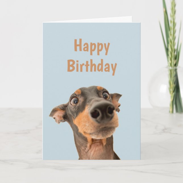Funny Birthday Shocked Dog Animal Humor Card (Front)