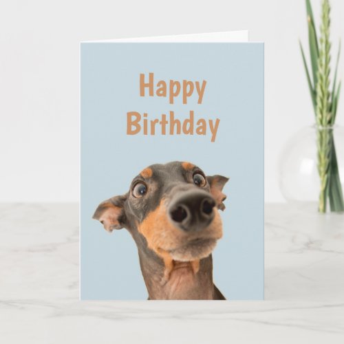 Funny Birthday Shocked Dog Animal Humor Card