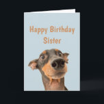 Funny Birthday Sister Shocked Dog Animal Humor Card<br><div class="desc">Have so much fun on your Birthday that your pet gets worried.  Happy Birthday for Sister with humorous verse inside and shocked looking dog</div>