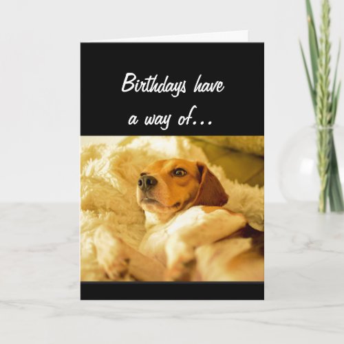 Funny Birthday Sneaking up on you Surprised Dog Card