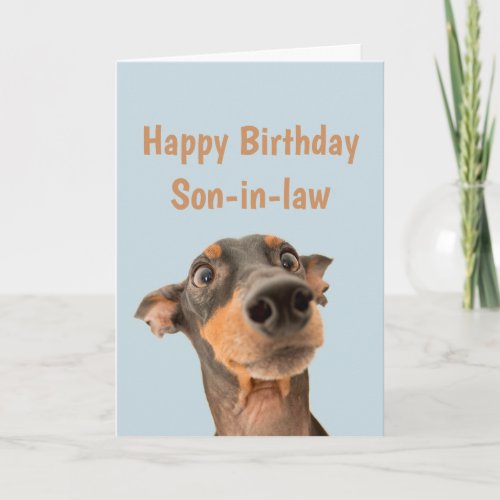 Funny Birthday Son-in-law Shocked Dog Animal