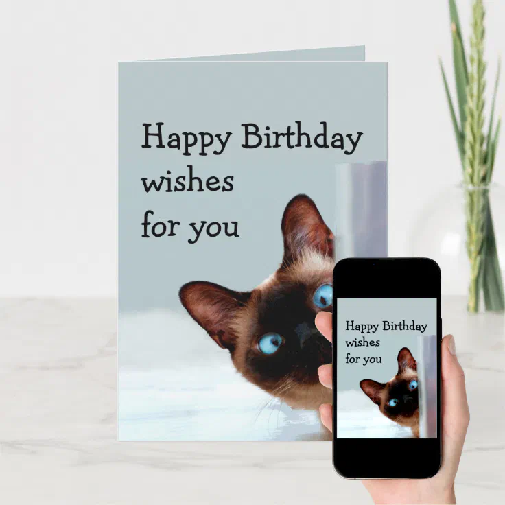 Funny Birthday Wishes Siamese Cat Animal Humor Card | Zazzle