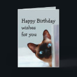 Funny Birthday Wishes Siamese Cat Animal Humor Card<br><div class="desc">Funny Birthday Wishes Siamese Cat Animal Humor you up.   Perfect for that person in your life with a sense of humor,  a love of cats and a birthday</div>
