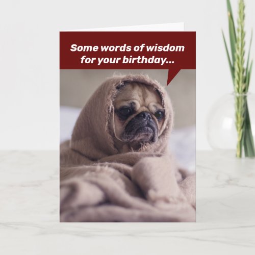 Funny Birthday Words Of Wisdom From A Noble Pug Card