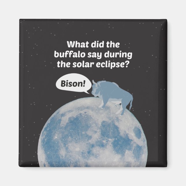 Funny bison eclipse magnet (Front)