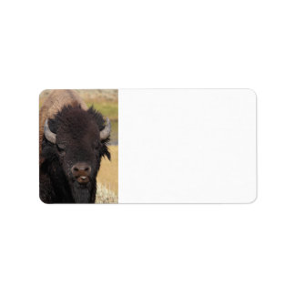 funny bison label