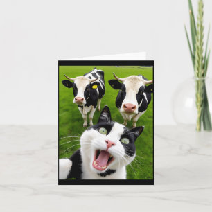 Funny Black And White Cat Cow Selfie Card
