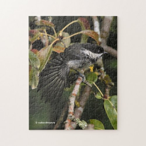 Funny Black_Capped Chickadee Having a Stretch Jigsaw Puzzle