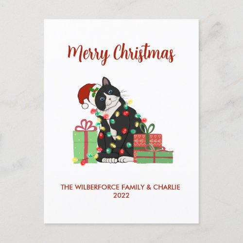 Funny Black Cat and Christmas Lights Christmas Holiday Postcard