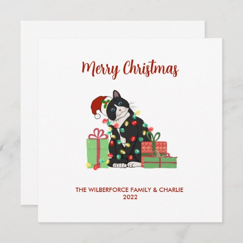 Funny Black Cat and Lights Christmas Holiday Card