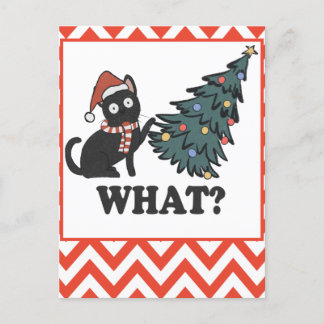 Funny Black Cat Christmas Tree Postcard