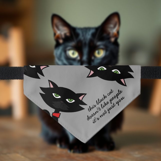 Funny Black Cat Doesn't Like People Grey Pet Bandana Collar (My black cat only likes me. If your black cat doesn't like people wither, here's their bandana)