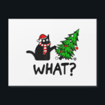 Funny Black Cat Gift Pushing Christmas Tree Over C<br><div class="desc">Funny Black Cat Gift Pushing Christmas Tree Over Cat What</div>
