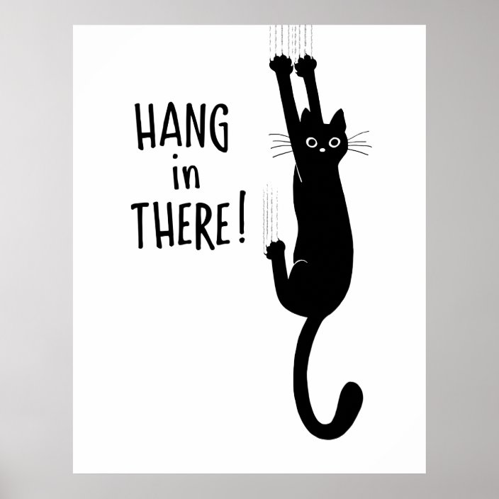 hang in there cat