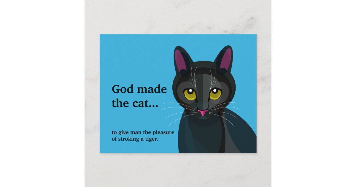 Funny Black Cat illustration Postcard | Zazzle