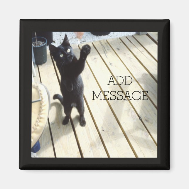 Funny Black Cat Swatting The Air Outside Magnet (Front)